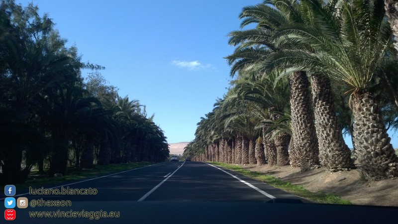 Fuerteventura - 2014 - 037